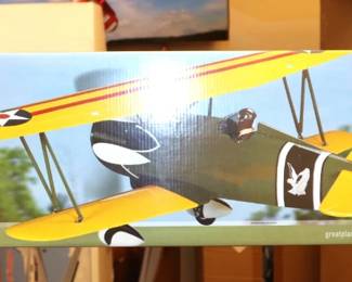 Great Planes Curtiss P-6E Biplane ARF RC Airplane