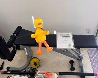 Adjustable flat bench, weighted bar and ab wheel