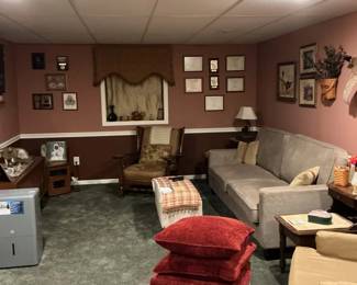 029 Furnished Basement Living Room Lot