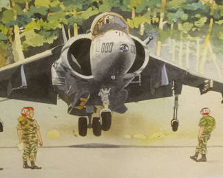 Lot 263: AV-8B Harrier HVTOL - George Guzzi