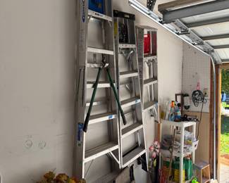 Werner Ladders