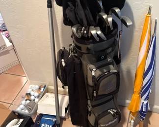 Womans Golf Ping Clubs,