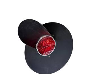 Crossing Light