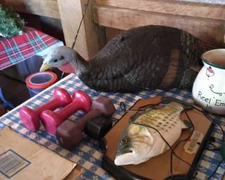 Outdoor items