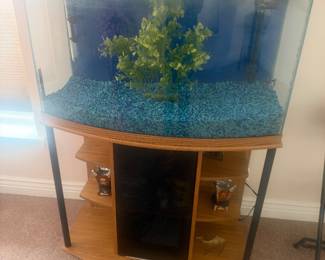 Great fish tank