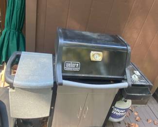 Weber Genesis Silver grill