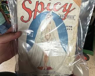 Spicy Stories Magazine June 1933