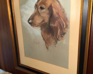 Dachshund portrait