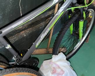 Rally Descent mountain bike