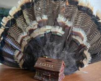 Lot #J70 Wild Turkey Tail Feather Fan Display Approx. 24" Wide & Alaska Log Cabin Ceramic Coin Bank – Rustic Hunting Lodge Decor