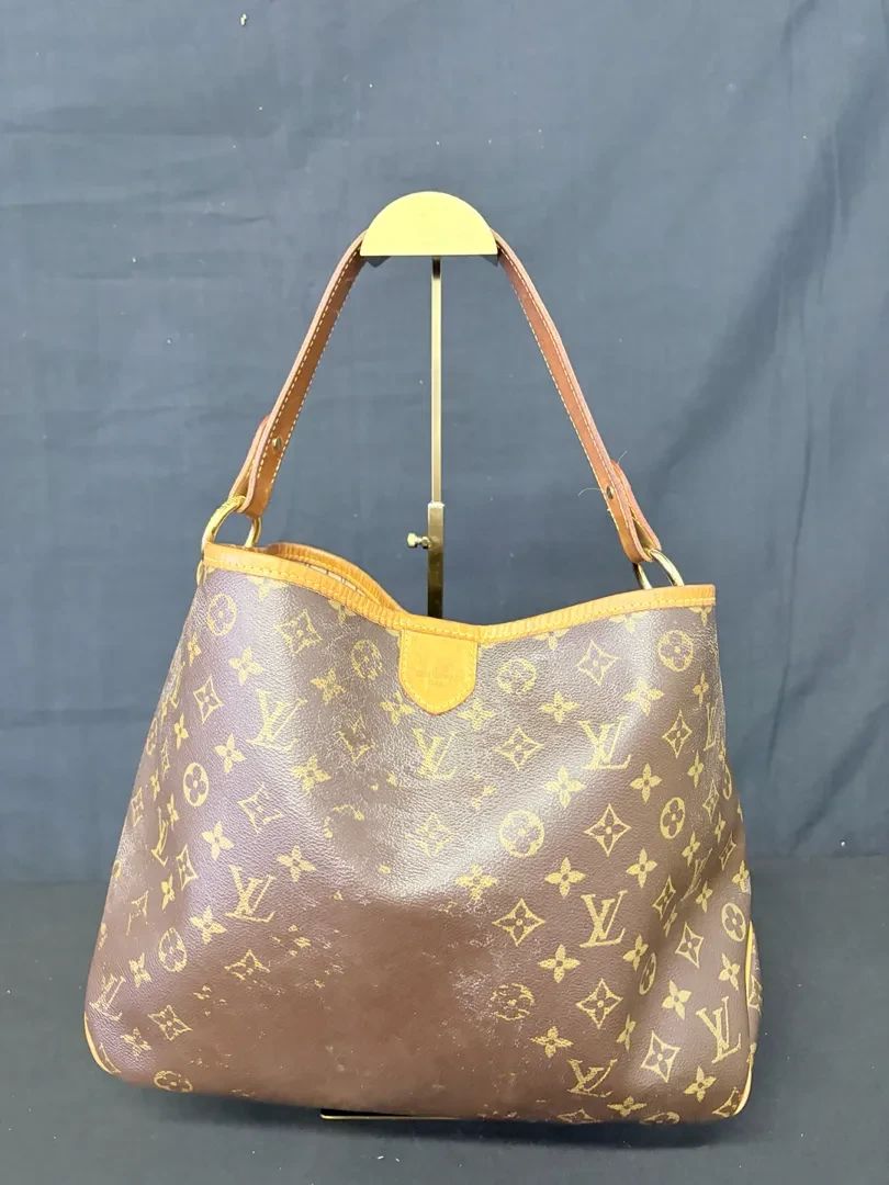 Louis Vuitton Monogram Delightful PM Hobo Shoulder Bag