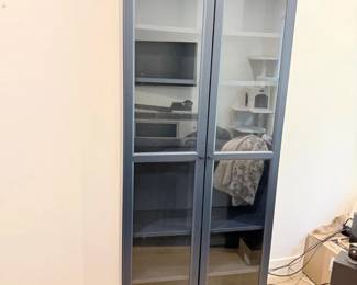 53 WayfairDarkBlueGlassDoorDisplayCabinet