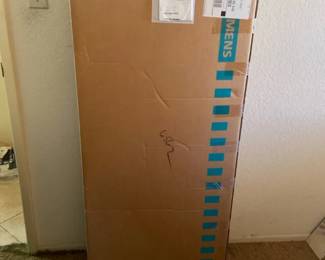 Siemens Solar Module