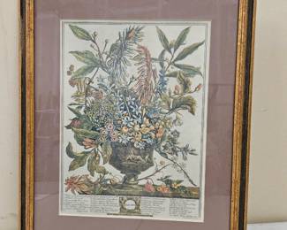 Framed Bookplate Botanical Print, January