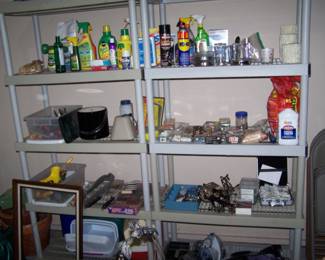 SHELVES OF CLEANERS, ETC.