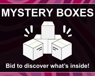 Mystery Boxes Christmas Decor