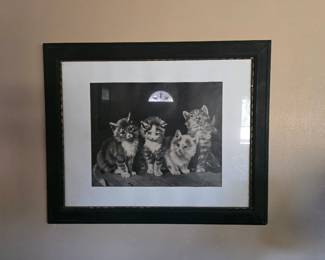 Cats