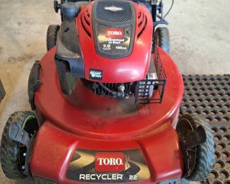 Toro Recycler 22 SelfPropelled Lawn Mower with Electric Start  Grass Bag