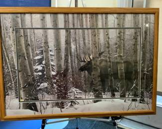 "A Walk in the Woods" by Stephen Lymon