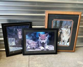 Framed Wolf Photographic and Wildlife Art Prints