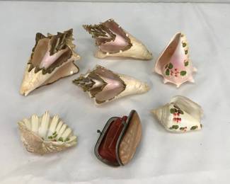 Decorative Sea Shells and Shell Coin Purse