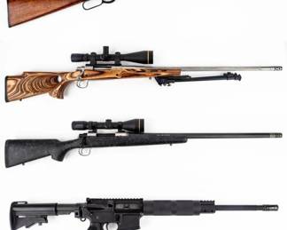 Long Guns