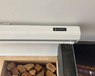Valerion motorized projection screen.