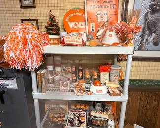 UT-TENNESSEE COLLECTION 
