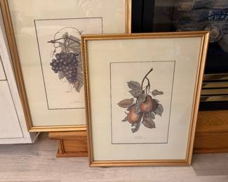 Framed Prints from Italy 