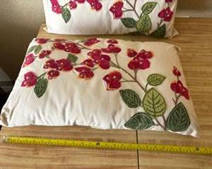 Embroidered throw pillows (2) $20