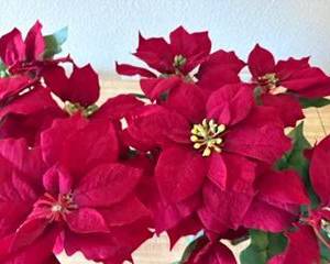 Faux poinsettia plants in pots (2) $15