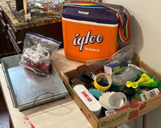 igloo cooler and misc