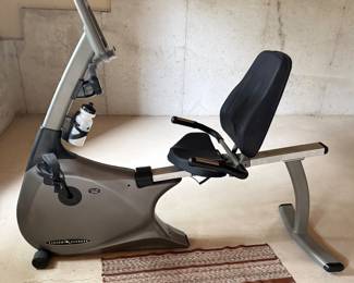 Vision Fitness R2200 $300