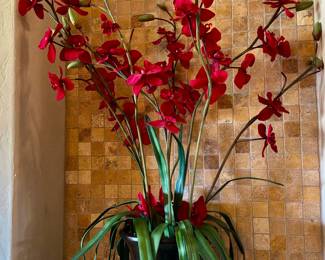Fred CYMBIDIUM orchid