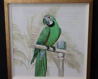 Pottery Barn Large Tropical Botanical Study Series Green Parrot Print