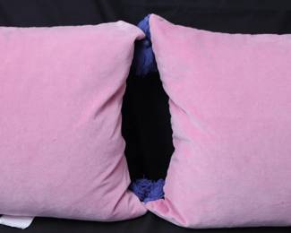 Pair Of Drew Barrymore Flower Home Bohemian Style Pink Velvet Deecorative Pillows With Blue Tassels And Goose Down Incerts