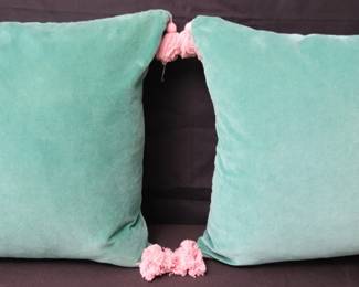 Pair Of Drew Barrymore Flower Home Bohemian Style Light Teal Velvet Decorative Pillows With Pink Tassels And Goose Down Incerts
