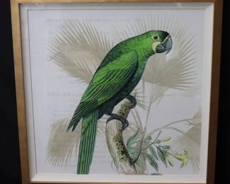 Pottery Barn Large Tropical Botanical Study Series Green Parrot Print