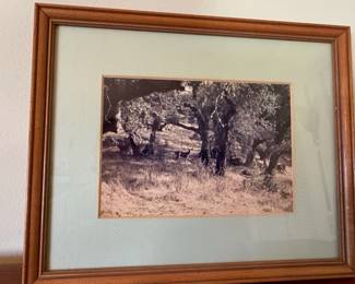 Vintage Landscape Photograph with Deer second image