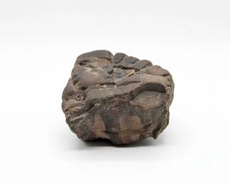Septarian Nodule Concretion