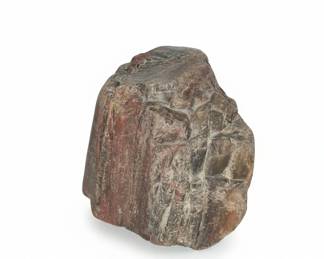 Petrified Wood Specimen