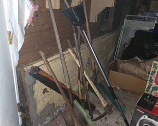 Assorted Garden and Hand Tools Collection