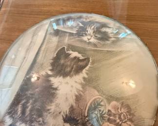 Vintage Cat Illustration Glass Paperweight