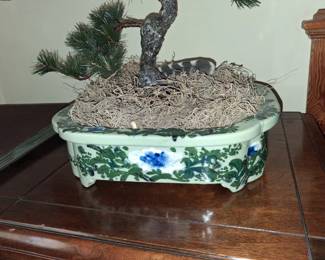 Artificial Bonsai Pine in Decorative Ceramic Planter second image