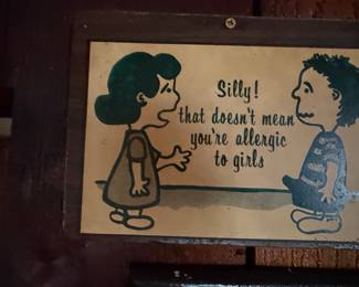 Vintage Peanuts Comic Strip Metal Sign