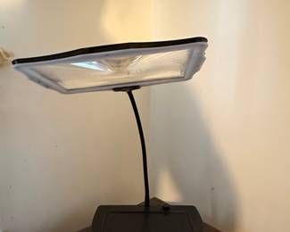 Magnifying Desk Lamp
