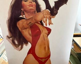 6 foot door Vampirella poster. 