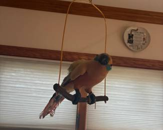 parrot