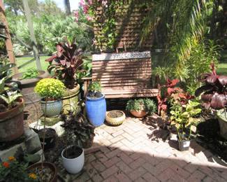 more plant pots and plants