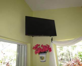 television with remote
